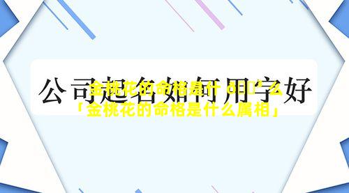 金桃花的命格是什 🐳 么「金桃花的命格是什么属相」